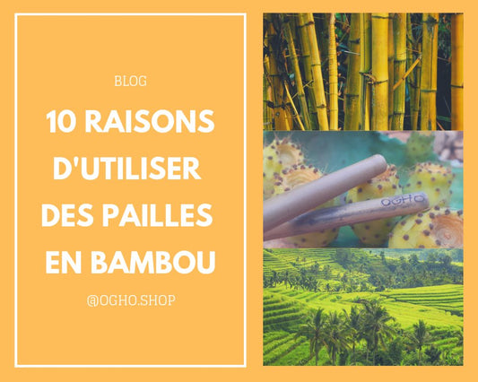 10 raisons d'utiliser des pailles en bambou - Ogho