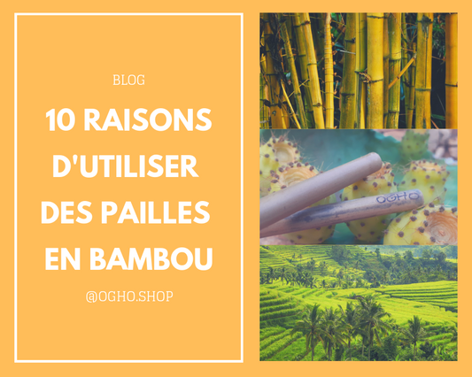 10 raisons d'utiliser des pailles en bambou