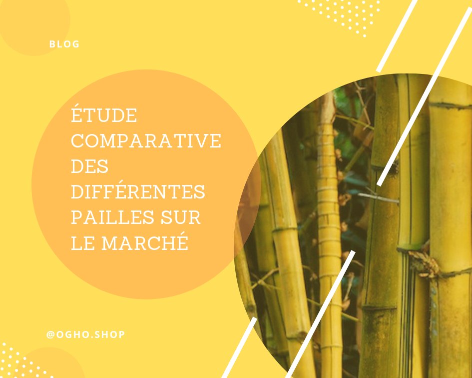 Etude comparative des diférentes pailles sur le marché - Ogho