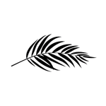 feuille-palmier